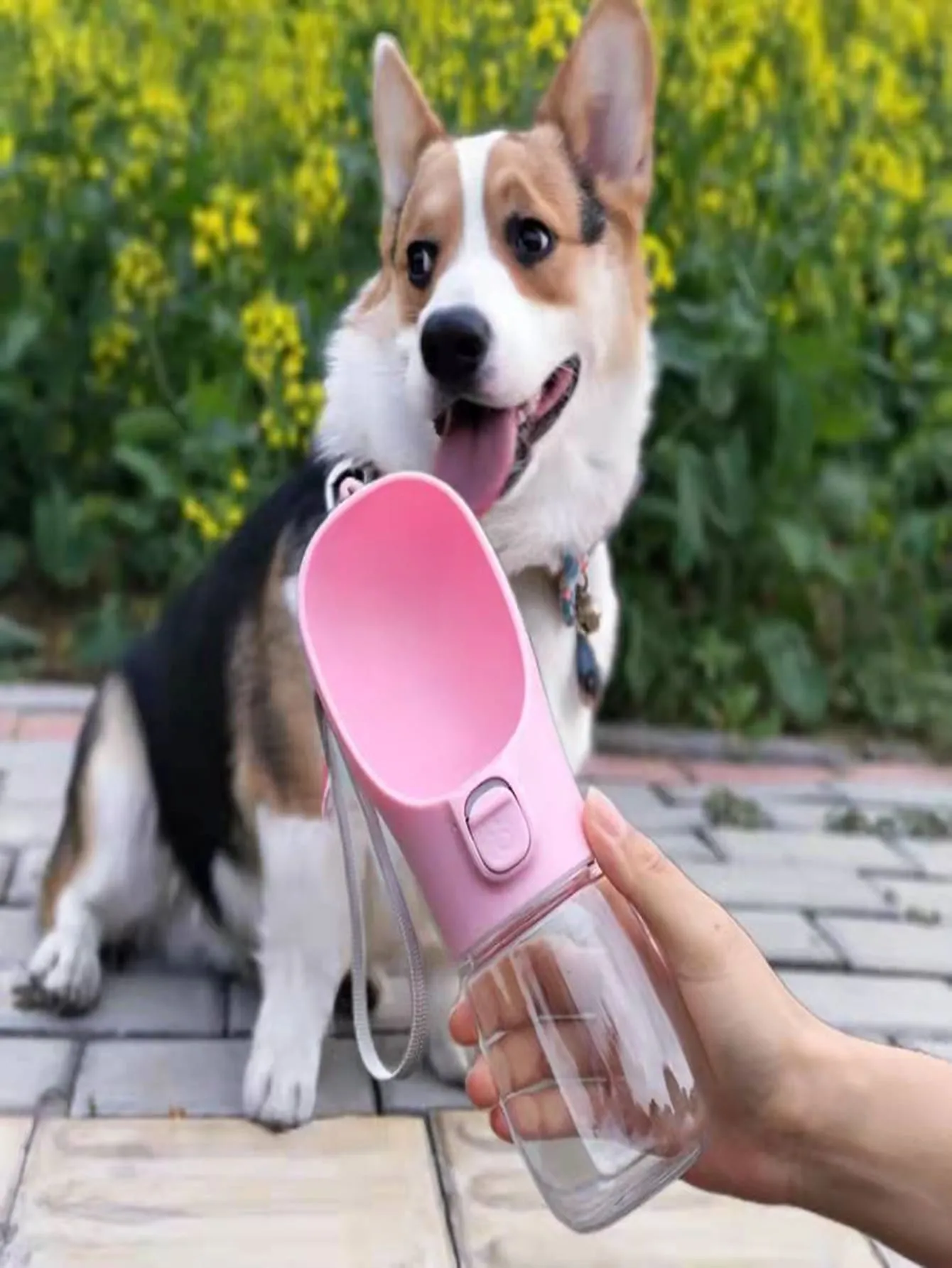 1pc Portable Pet Travel Bottle