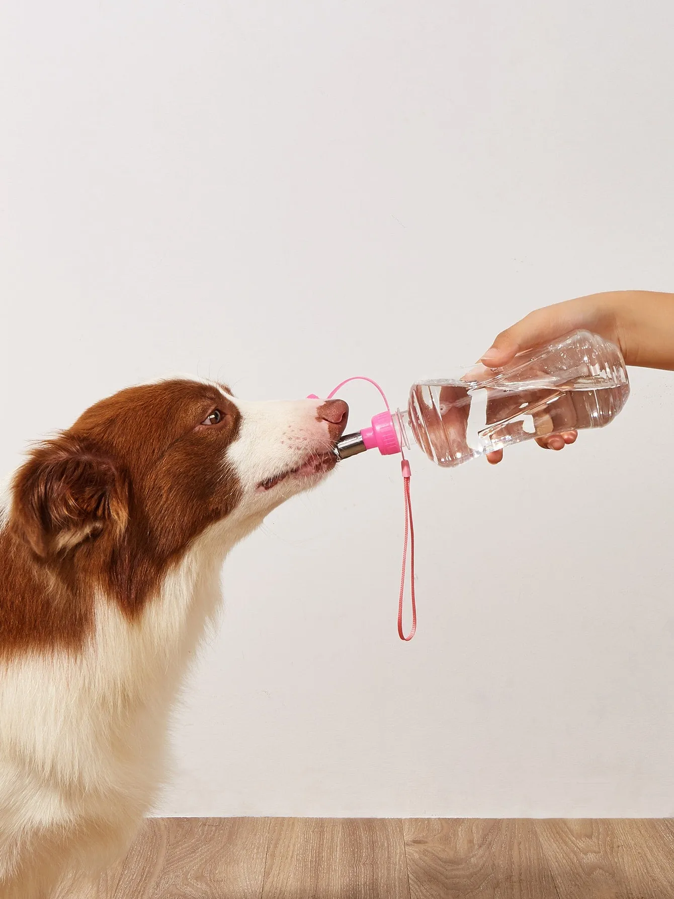 1pc Portable Pet Water Bottle