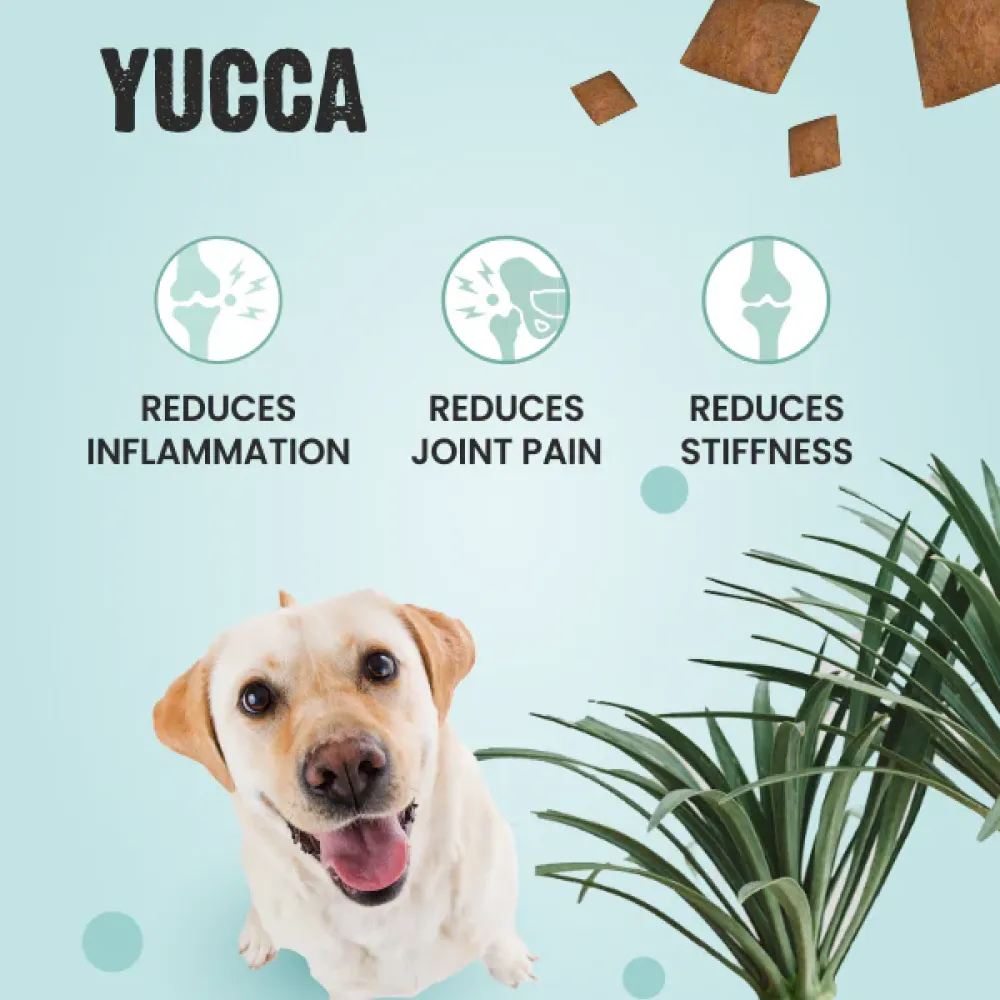 Bark Out Loud by Vivaldis Pillows for Hip & Joint Dog Treats (Limited Shelf Life)