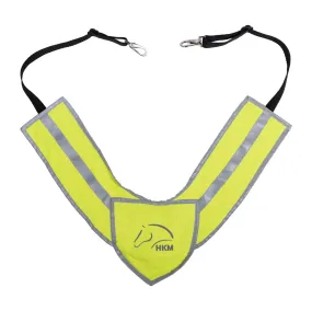 Breastplate Reflective