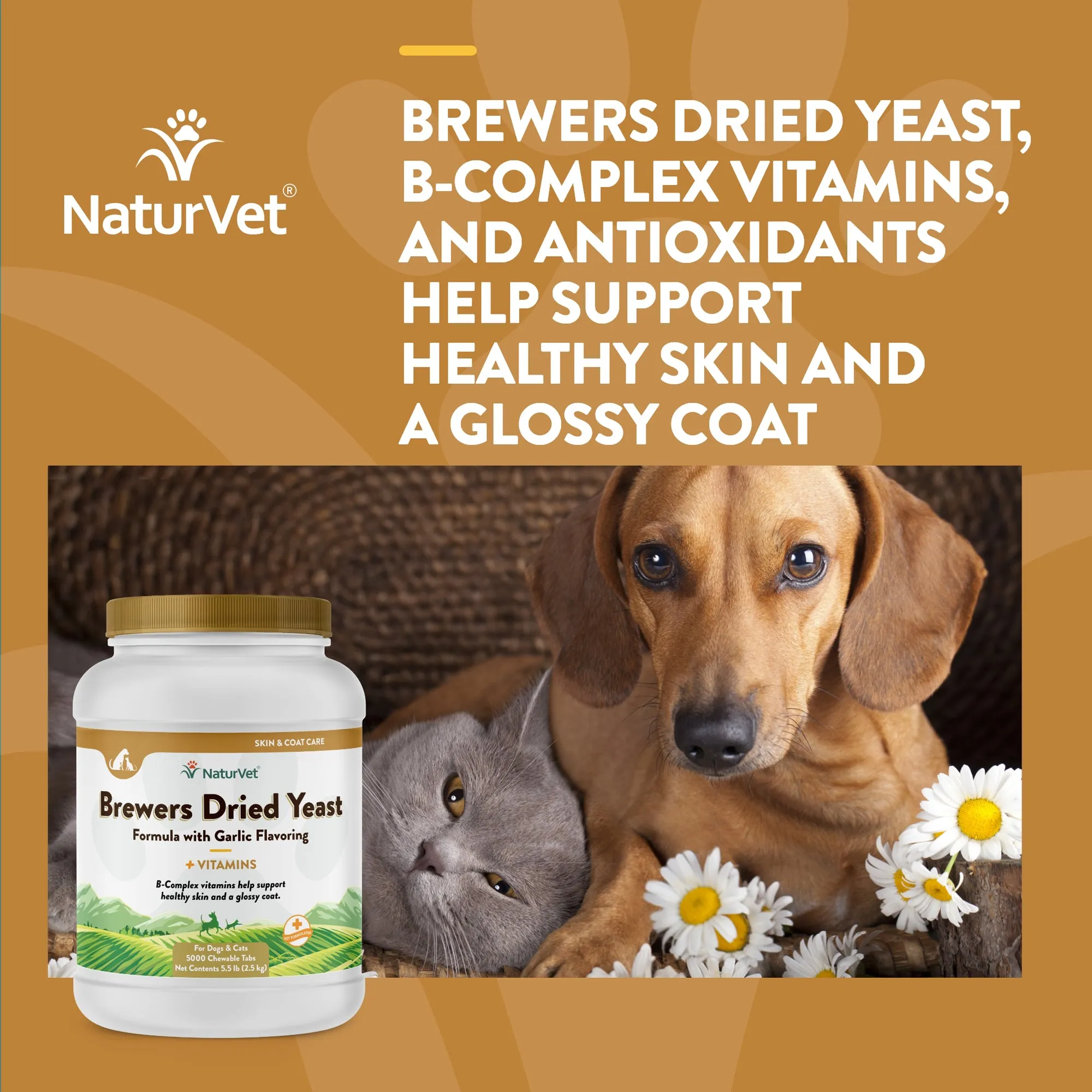 Brewers Dried Yeast With Garlic Chewable Tablets