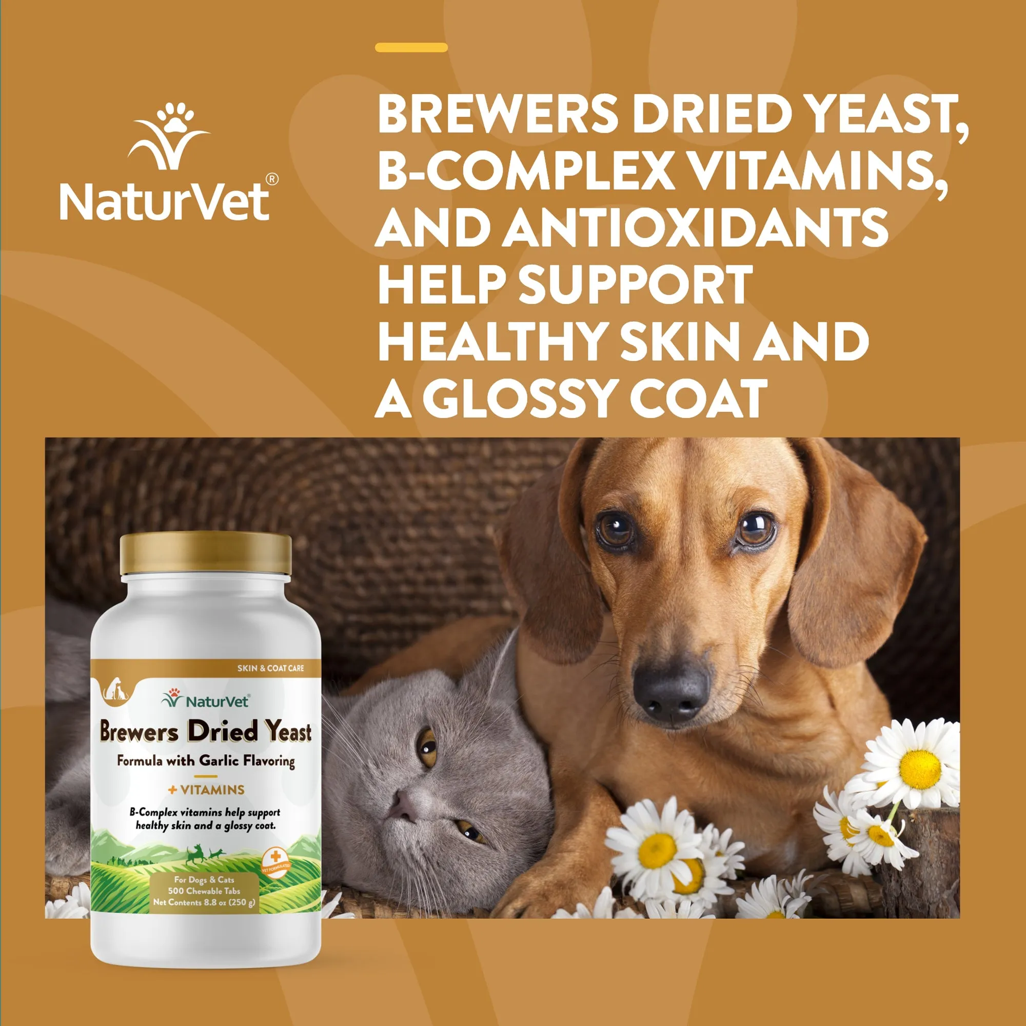 Brewers Dried Yeast With Garlic Chewable Tablets