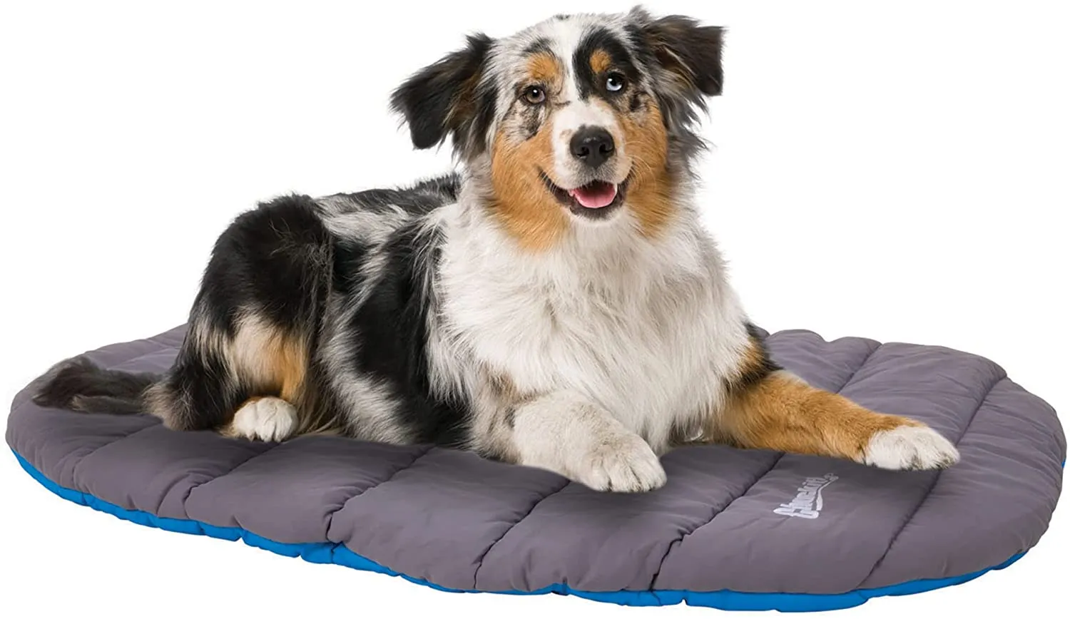 Chuckit! Travel Dog Bed