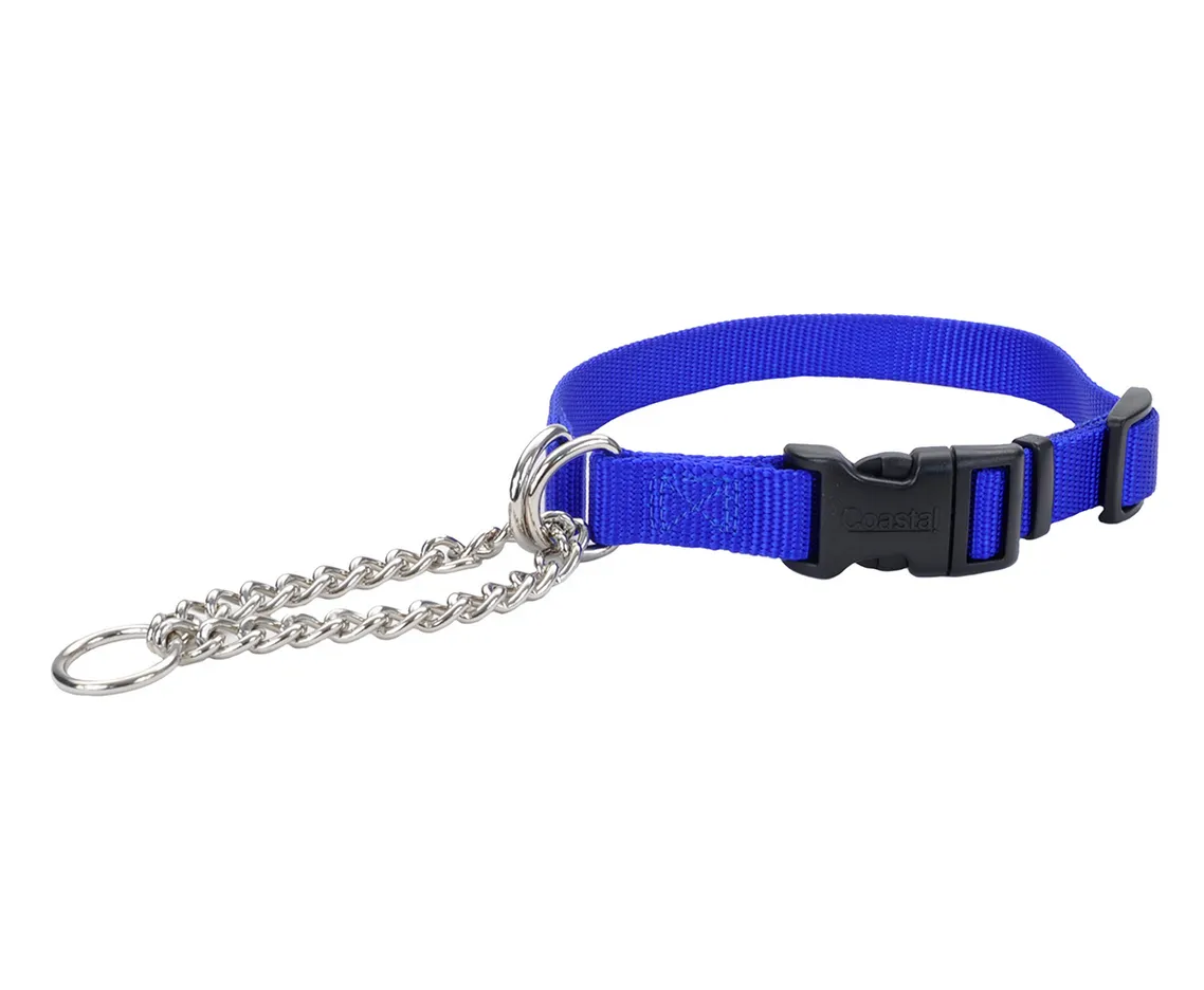 Coastal Check Training Collar with Buckle