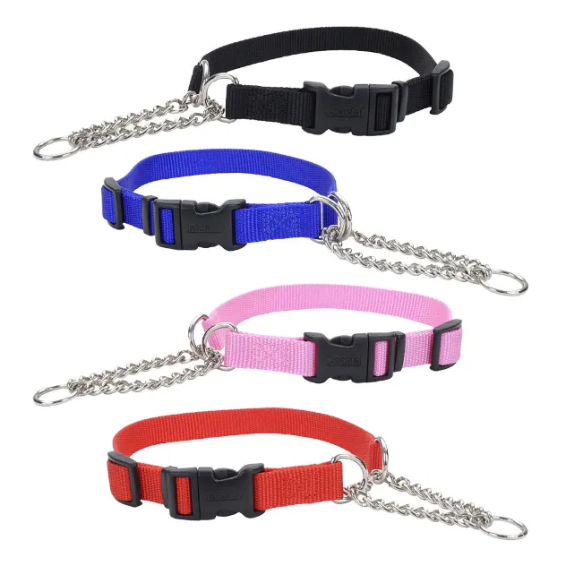 Coastal Check Training Collar with Buckle