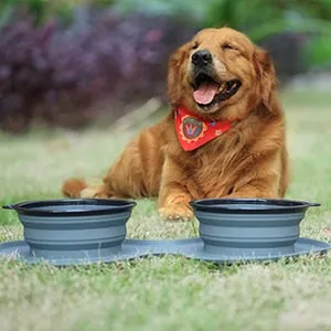 Dog Bowl Slow Feeder Double Mat