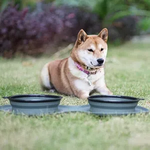 Dog Bowl Slow Feeder Double Mat