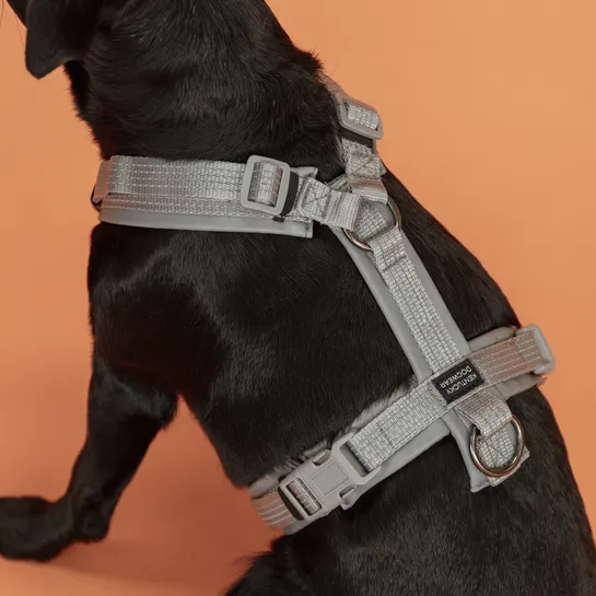 Dog Harness Reflective