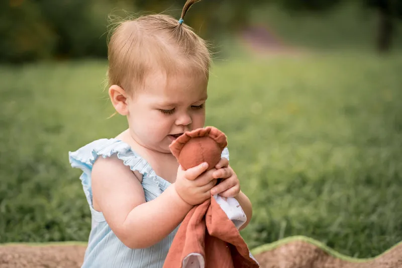 Lion Organic Baby Comforter with Teether