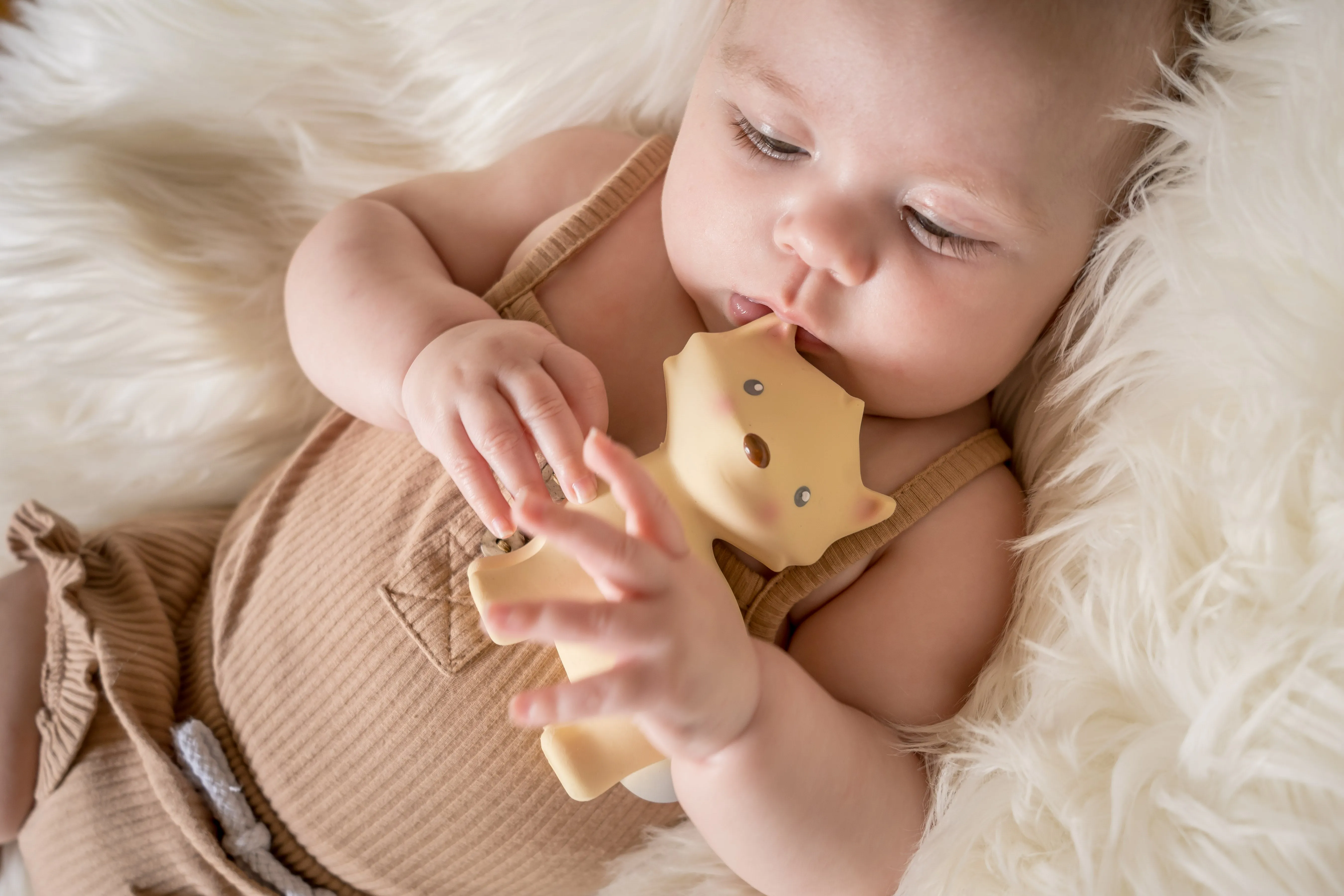 My First Arctic Fox Organic Natural Rubber Teether, Baby Rattle & Bath Toy