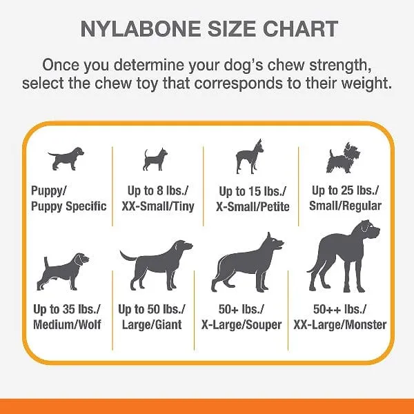 Nylabone Puppy Ring Bone Teething Toy for Puppies