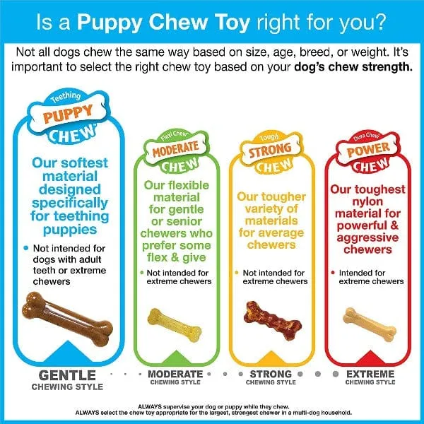 Nylabone Puppy Ring Bone Teething Toy for Puppies