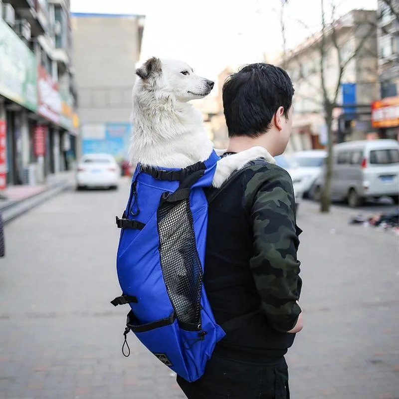 Outdoor portable pet backpack