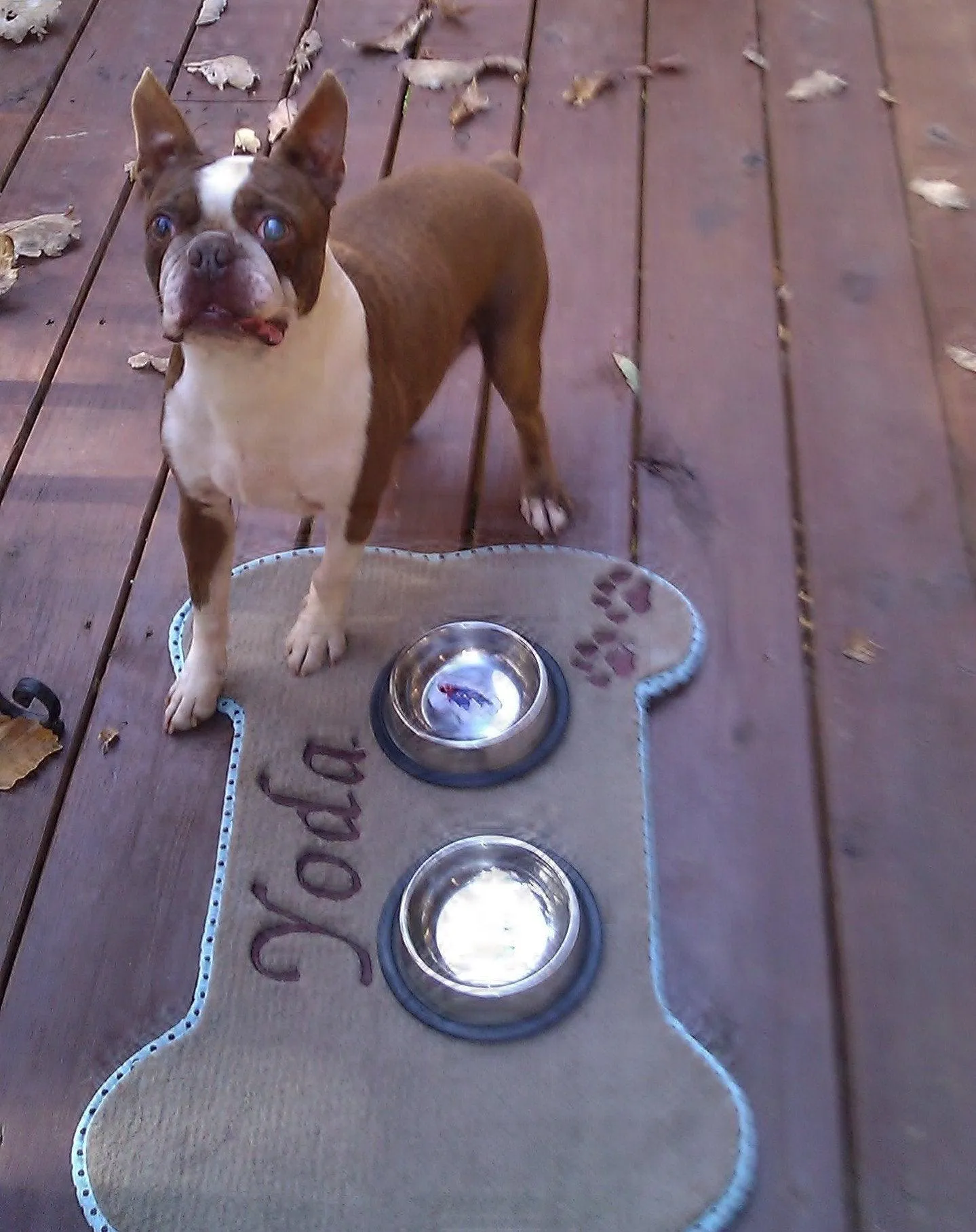 Personalized Bone Shaped Pet Food Mat