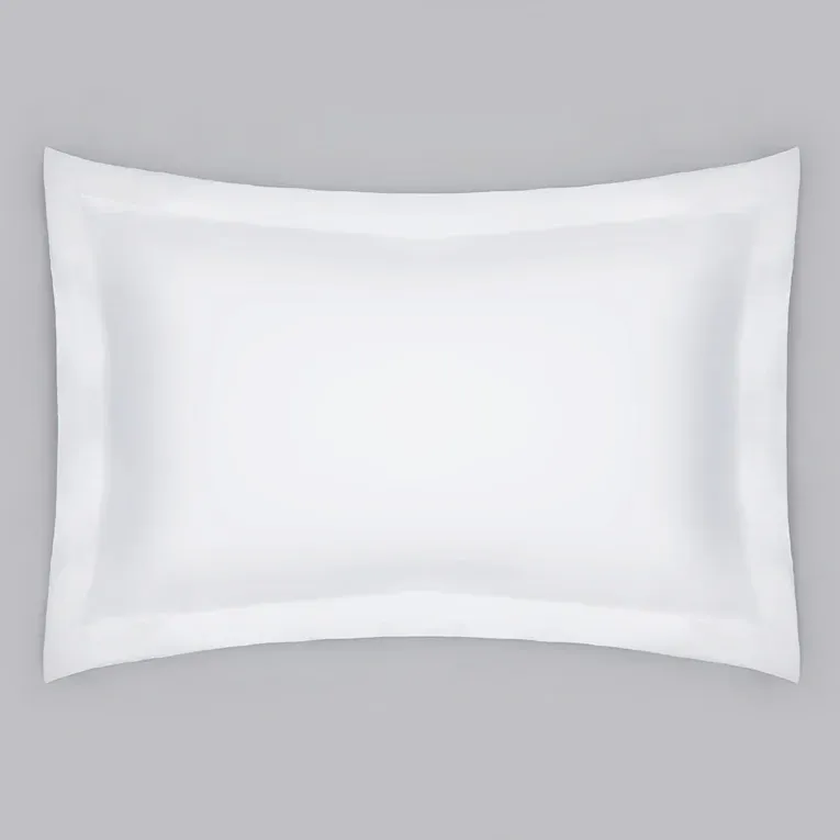 Pillow with Pillowcase