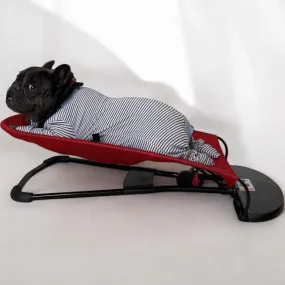 Portable Rocking Chair for French Bulldog