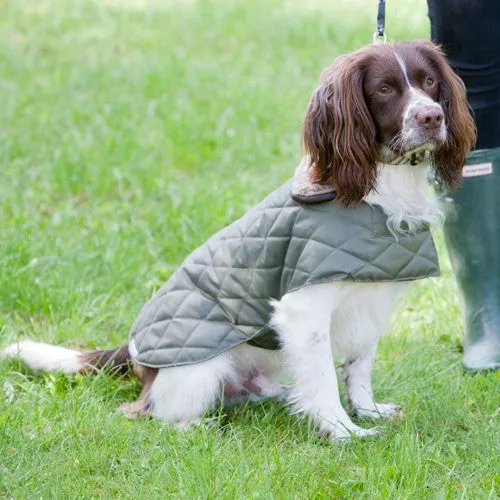 Quilted Dog Coat (Olive)