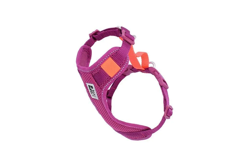 RC Pets Mulberry Moto Control Harness - Available in Multiple Sizes