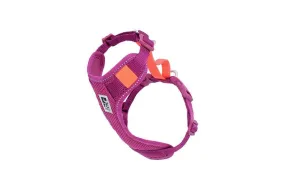 RC Pets Mulberry Moto Control Harness - Available in Multiple Sizes