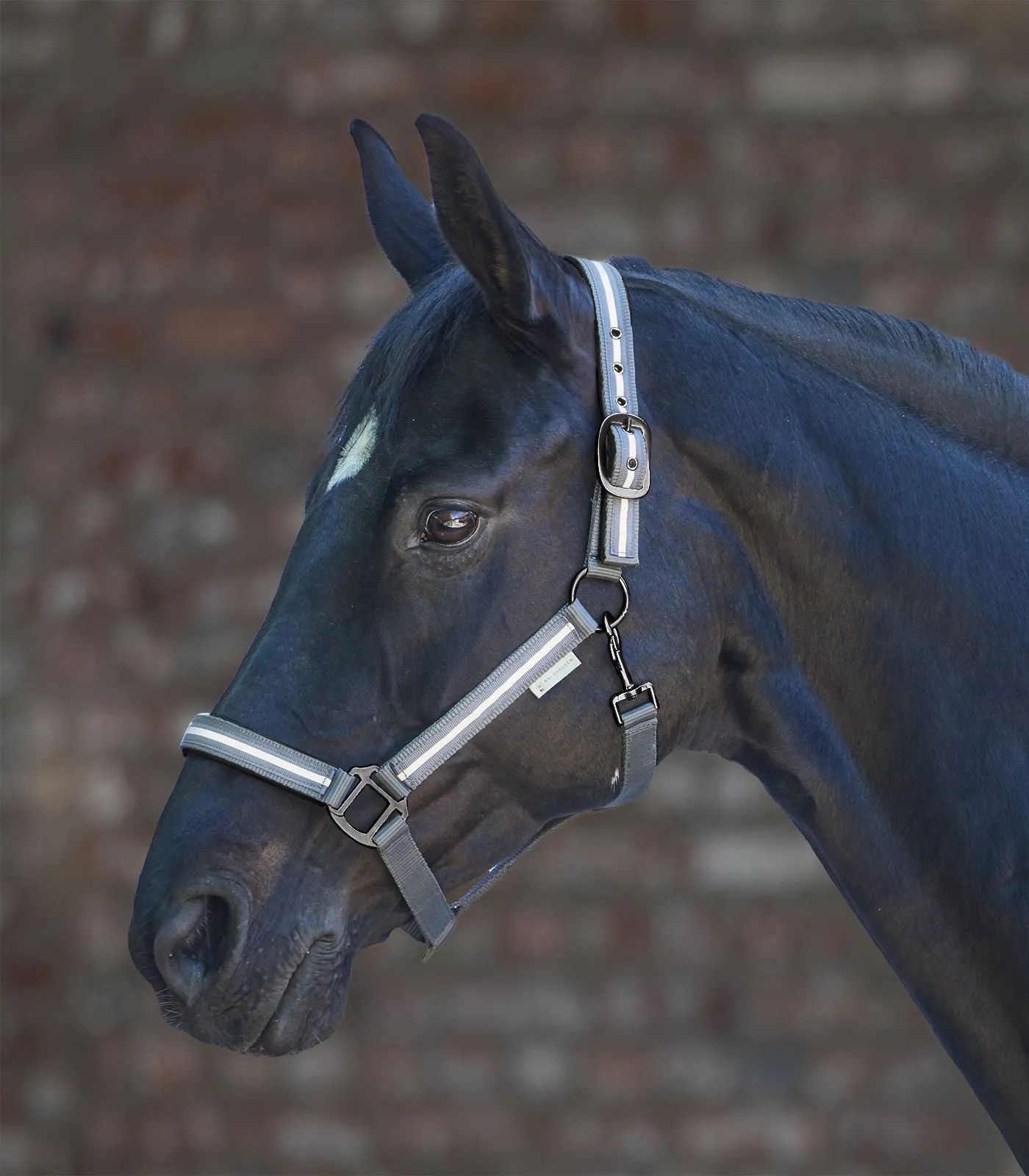 Reflex Reflective Stripe Halter