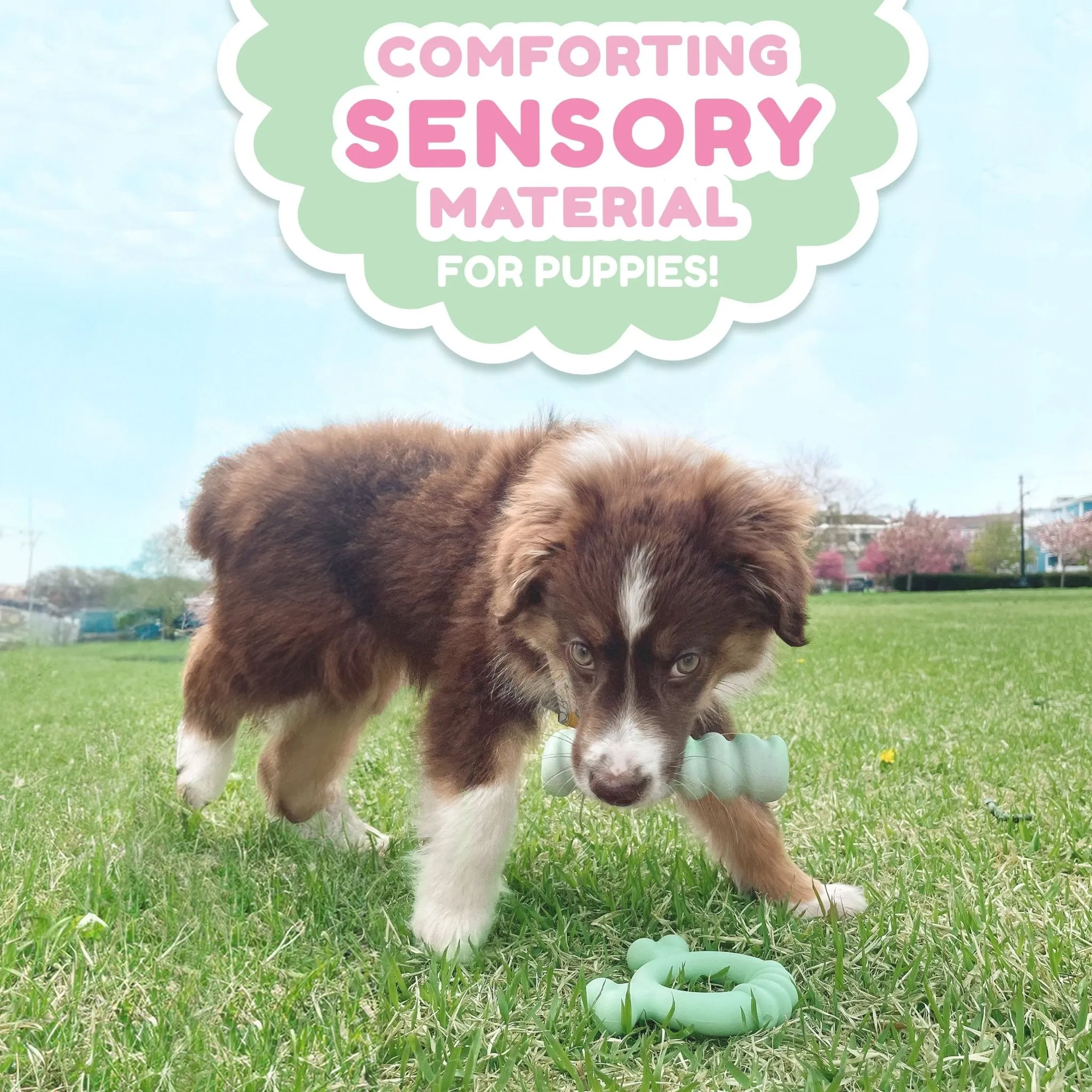 Sensory Material Puppy Teething Toy, Peanut Butter, Small/Regular, Up to 25 Ibs.