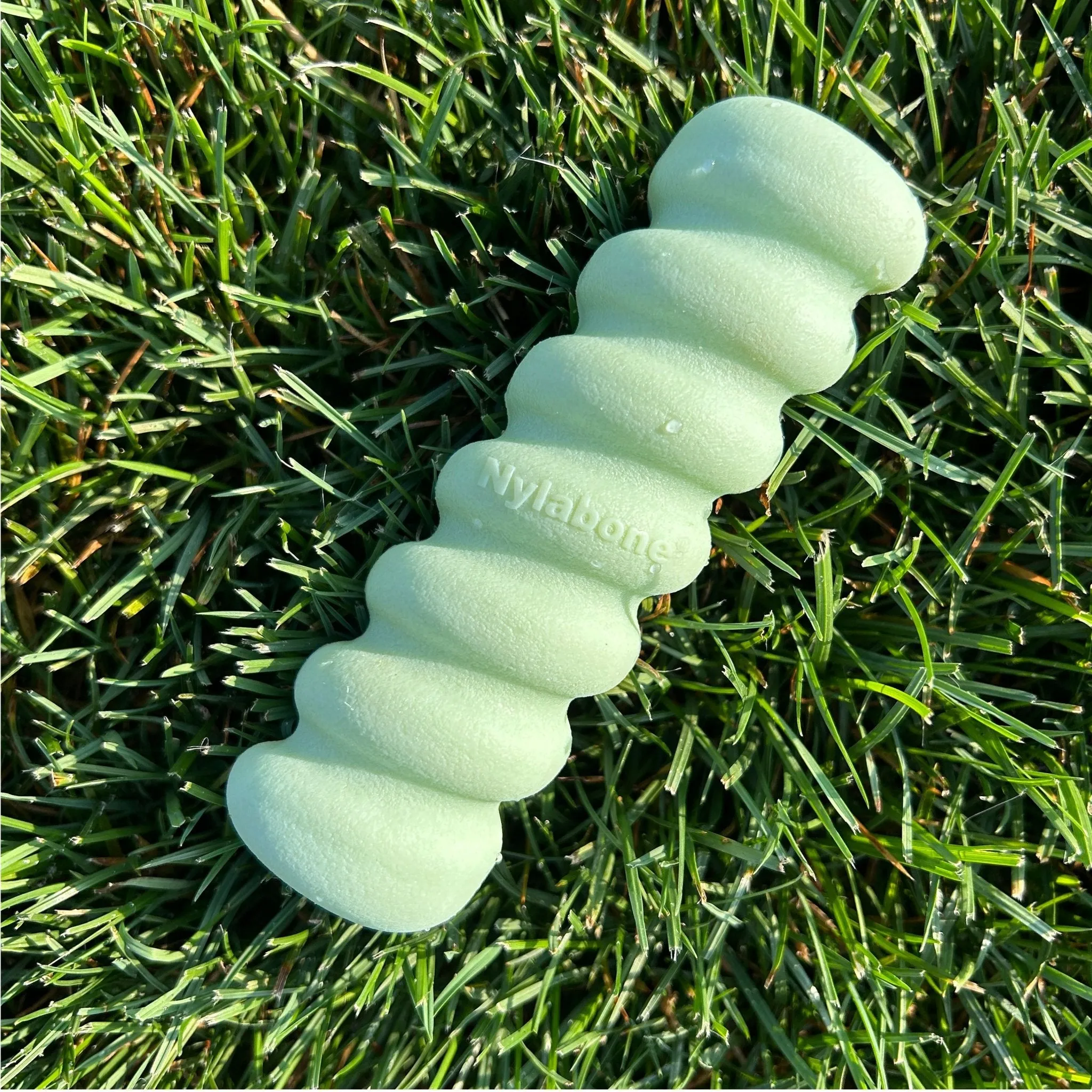 Sensory Material Puppy Teething Toy, Peanut Butter, Small/Regular, Up to 25 Ibs.