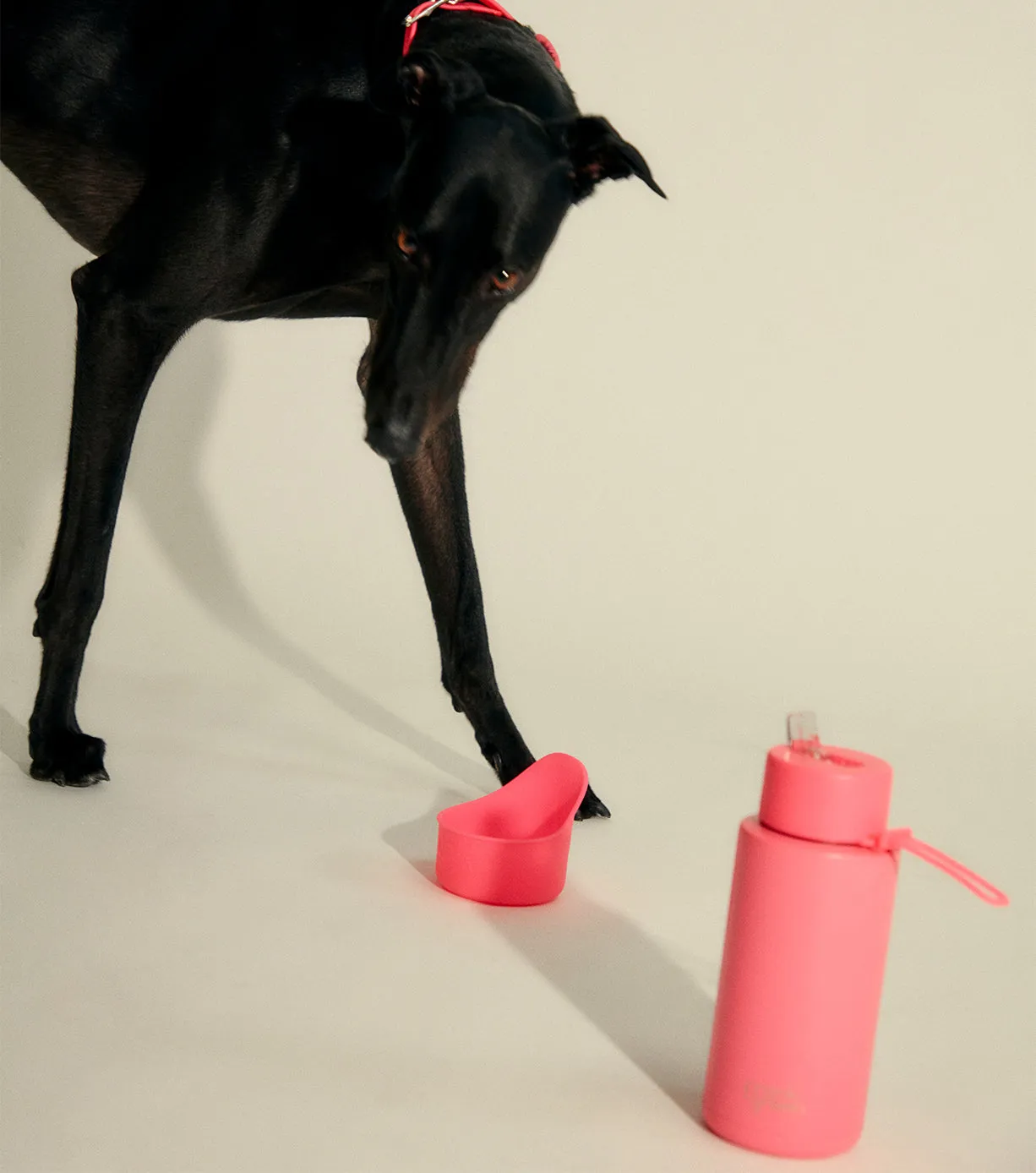 Silicone Pet Bowl