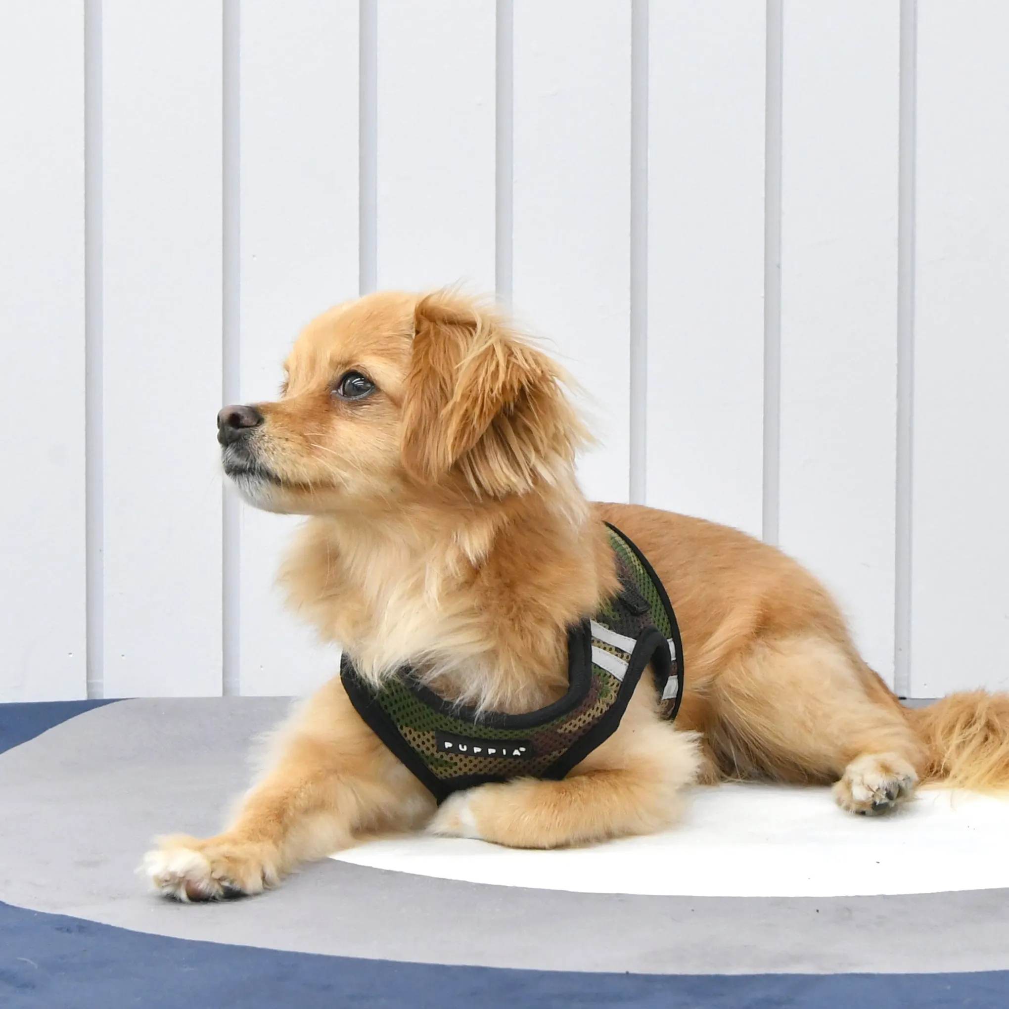 soft vest harness pro with reflective strips - camo