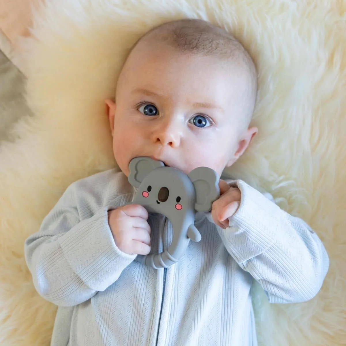 Tiger Tribe Silicone Teether - Koala