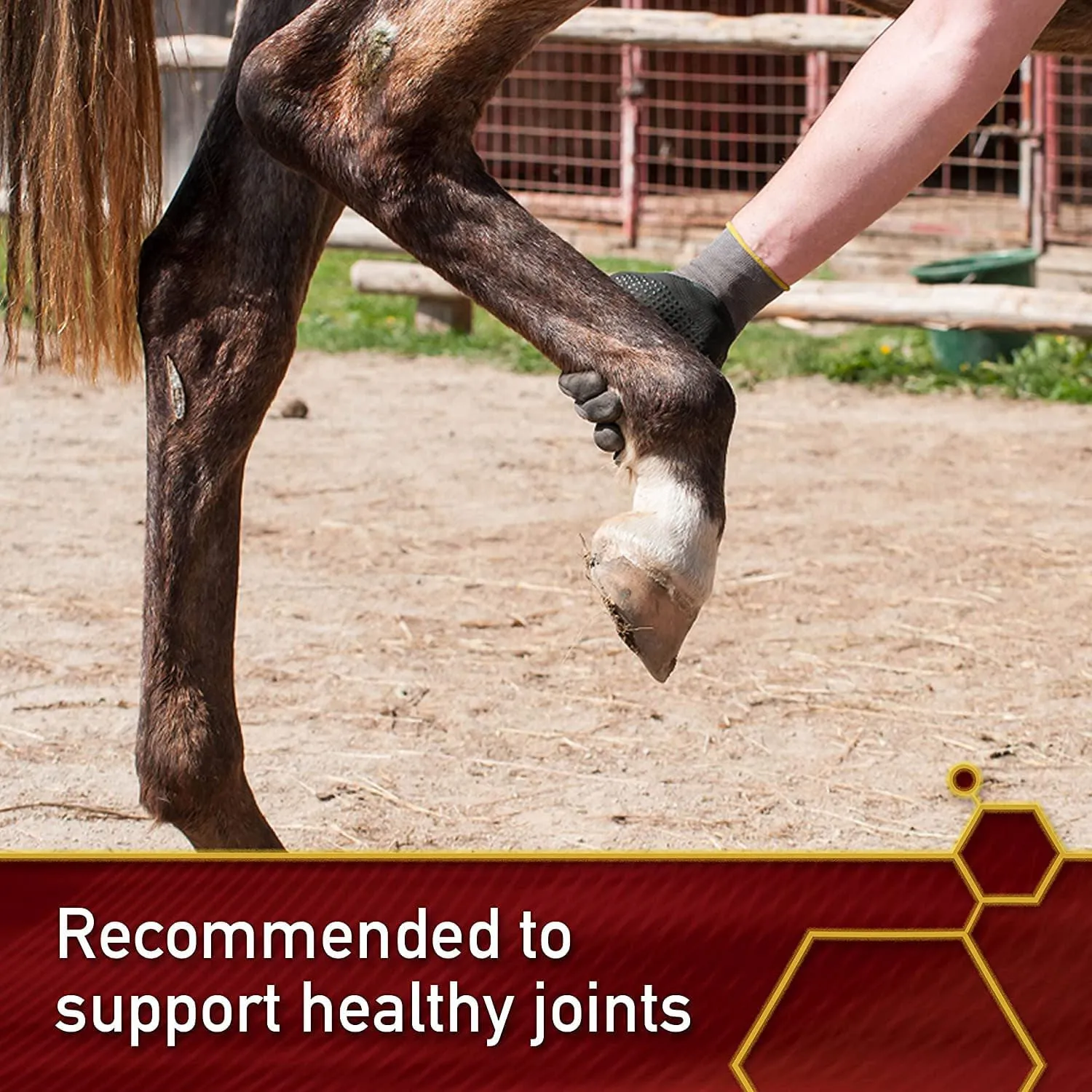 Vita Flex Pro MSM Quality Joint Supplement for Horses, Dogs and Cats