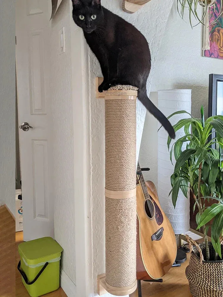 Wall-Mounted Cat Scratching Post with Wooden Base