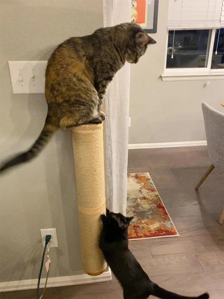 Wall-Mounted Cat Scratching Post with Wooden Base