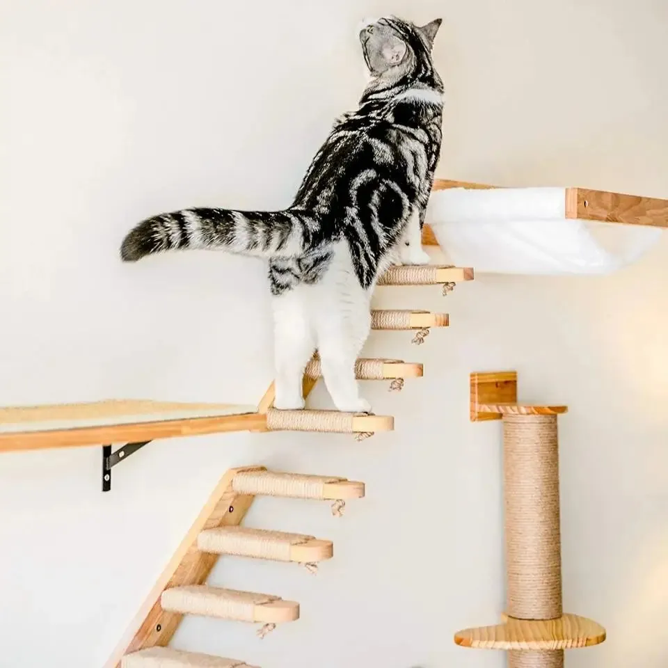 Wall-Mounted Wooden Cat Climbing Shelves - Four-Step Stair with Hammock