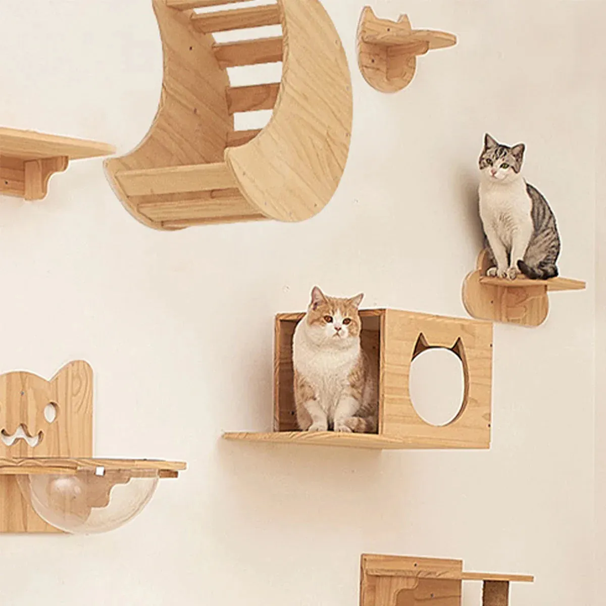 Wall-Mounted Wooden Cat Climbing Shelves - Four-Step Stair with Hammock